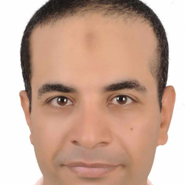 أبوبكر محمد السيد يونس