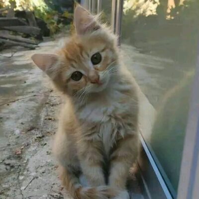 حسناء صلاح