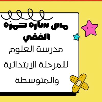 ساره الفقي